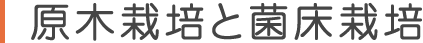 原木栽培と菌床栽培