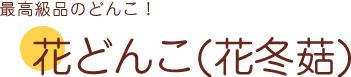 花どんこ